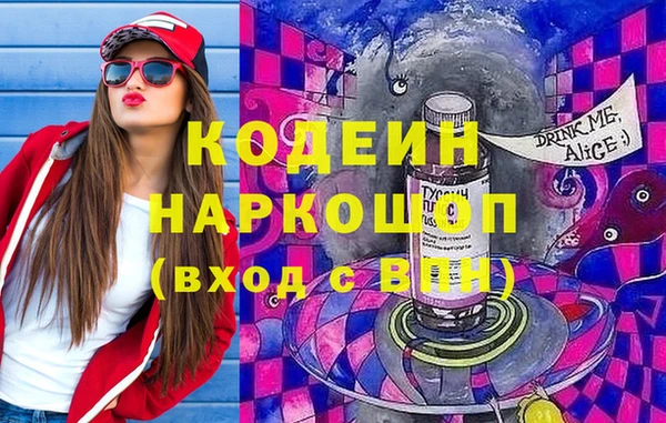 индика Балахна