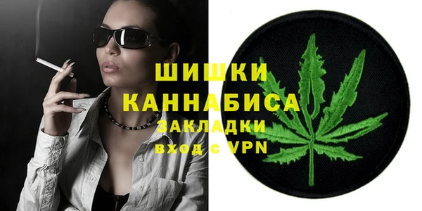 индика Балахна
